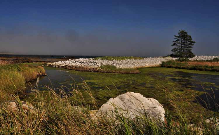 shore road